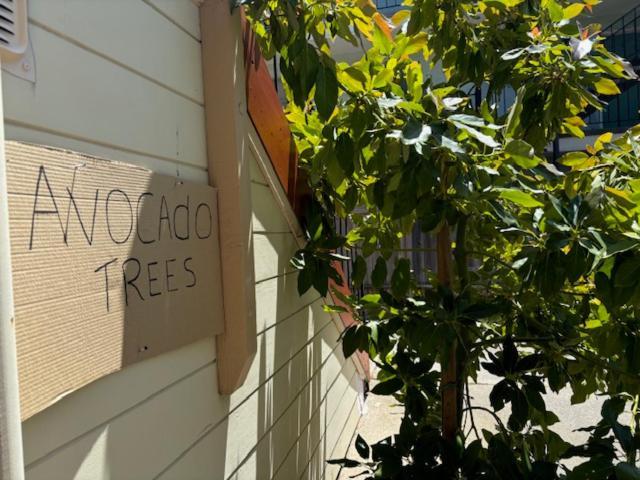Alameda 2 Bedroom 2 Ba Apt, Ac, 3 Blocks To Beach & Shopping Center & Free Parking Eksteriør billede